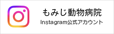もみじ動物病院