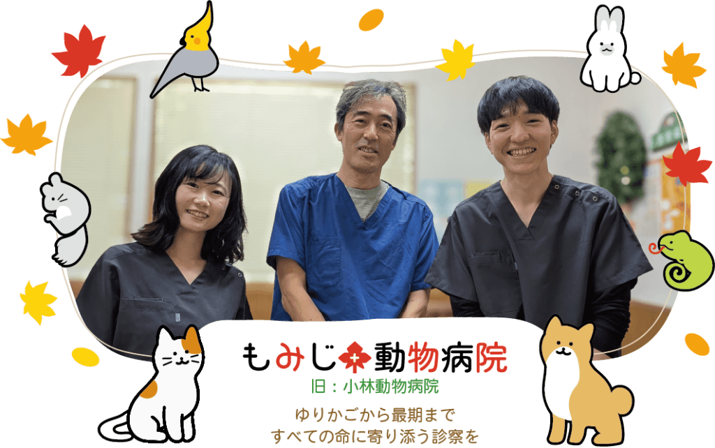 三重県鈴鹿市のもみじ動物病院