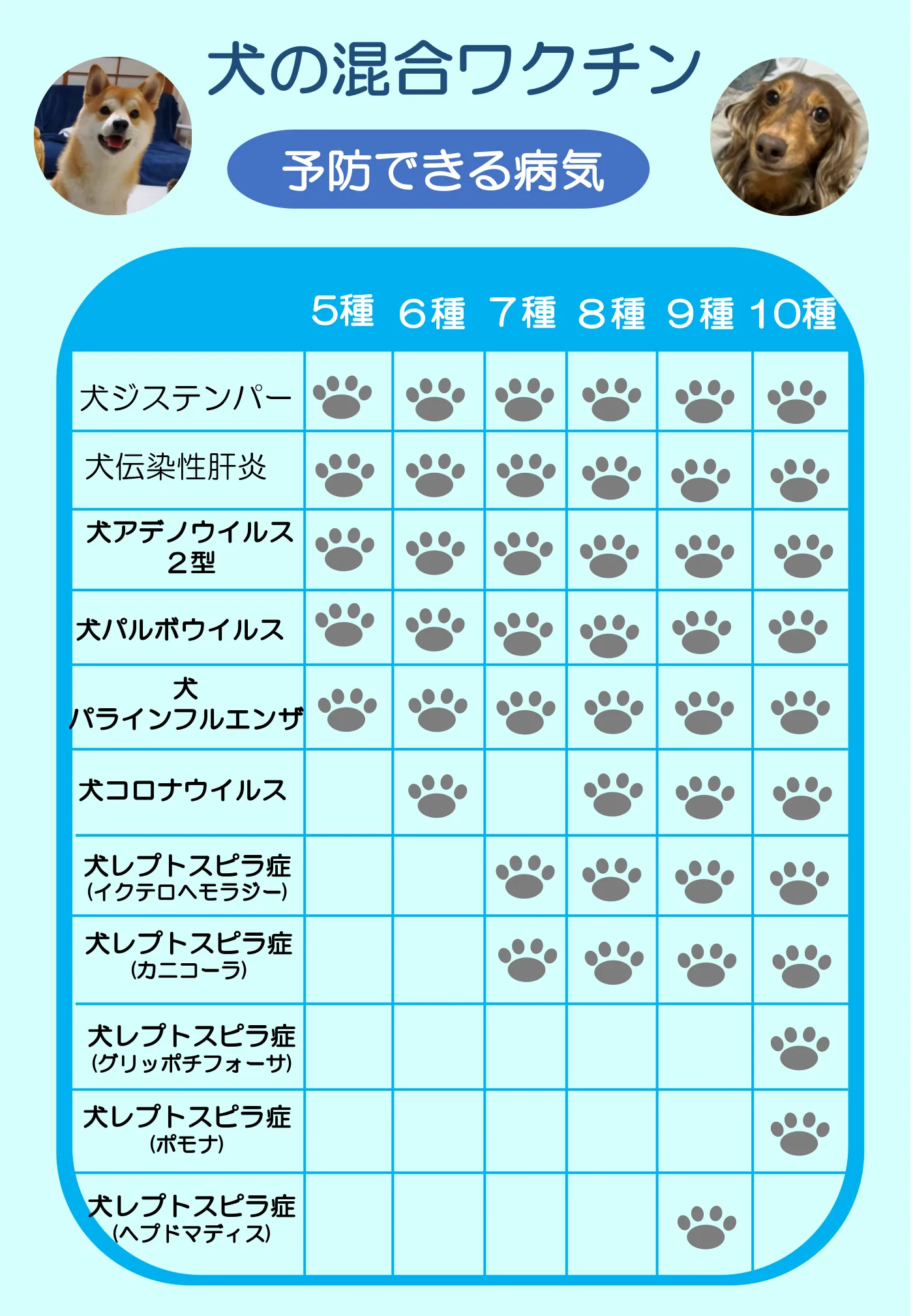 犬 ワクチン 毎年