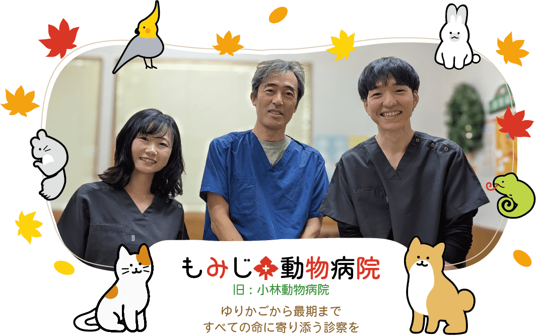 もみじ動物病院