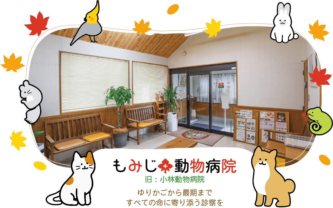 もみじ動物病院