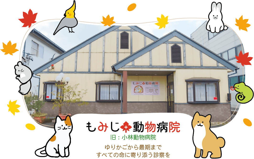 もみじ動物病院